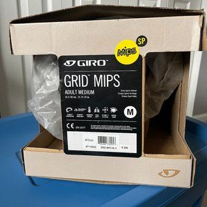 Giro Grid MIPS Helmet